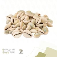 صدف (ودع) - 50 جرام