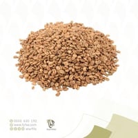 بن هرري باشنفر وسط 1 كيلو