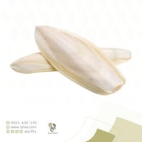 لسان البحر - 50 جرام