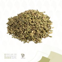 هيل امريكي رقم ثلاثه