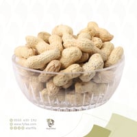 فول سوداني بالقشر