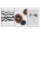 طقم من ٣ لوحات كانفاس على إطار خشبي، تصميم ورود وخ...