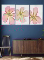 طقم من ٣ لوحات كانفاس على إطار خشبي، تصميم زهور، ل...