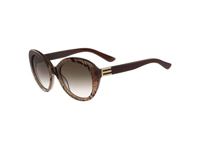 نظارة شمسية ماركة etro موديل Etro ET 609 S 243