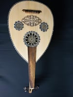 العود الاحترافي لوكس ظهر ملون