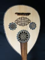 العود الاحترافي لوكس ظهر ملون