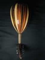 العود الاحترافي لوكس ظهر ملون