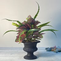 مركن زرع صناعي اخضر وزهري