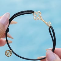 اسورة كارولينا هريرا انسيجنيا كيز سوداء