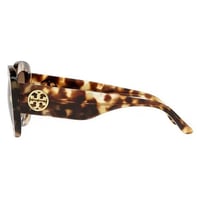 نظاره شمسية توري بورش مستطيلة بني