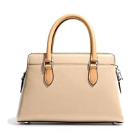 شنطة كوتش ميني دارسي بيج