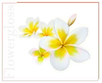 غلوس شفاه نباتي فاخر مستوحى من زهرة الفرنجيباني