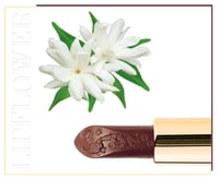 أحمر شفاه زهرة الياسمين