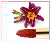 احمر شفاه زهرة الزنبق