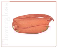 غلوس شفاه نباتي فاخر مستوحى من زهرة الفرنجيباني