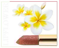 احمر شفاه زهرة الفرانجيباني /البلوميريا مع بودرة ا...