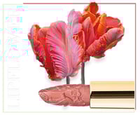 احمر شفاه زهرة التواليب