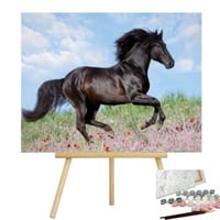 رسم اللوحة بالأرقام - الحصان الأسود