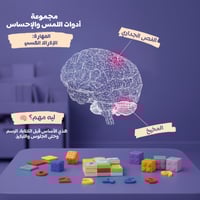 باقة المستكشف الصغير