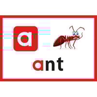 بطاقات تعليم كتابة الحروف الانجليزية