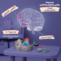 باقة المستكشف الصغير