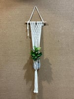 مكرمية بوهيمي