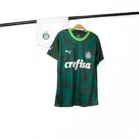 طقم نادي بالميراس البرازيلي 2024-2023