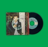 أسطوانة | سنة وسنتين - فريد الأطرش