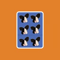 ستيكر سيا | Sia