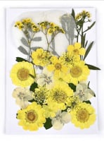 ورد مجفف متوفر عده الوان