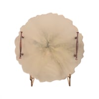 استاند متوفر 3 الوان مقاس كبير طول 18 عرض 15