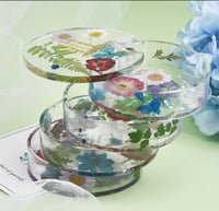 ورد مجفف متوفر عده الوان