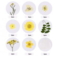 ورد مجفف متوفر عده الوان