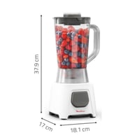 خلاط مولينكس مطحنة بلاستيك ابيض 450 واط 1.5 لتر