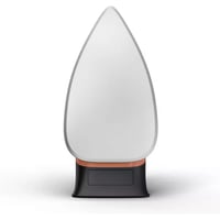 مكواة تيفال جافة 1200 واط