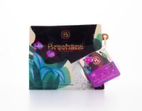 بريهانت - هيرلوم كافا اثيوبي 250غم