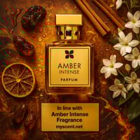 0220 In line with Amber Intense Fragrance