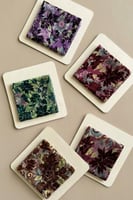 قماش مخمل شيفون مشجر