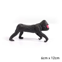 حيوانات اطفال o