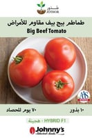 بذور طماطم بيج بيف مقاوم للأمراض - Big Beef (F1) T...