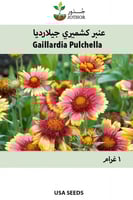 عنبر كشميري - Pulchella Gaillardia Seeds