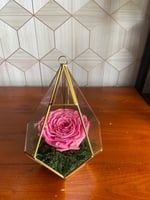 فازة ورد دائم