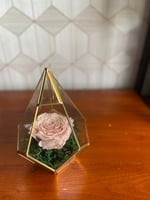 فازة ورد دائم