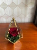 فازة ورد دائم