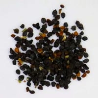 بذور القرنفل الأبيض كبير