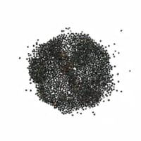 بذور الجيبسوفيلا ريبينز روز (قرنفل روز)