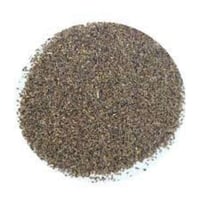 بذور الاقحوان الانجليزي مخلوط