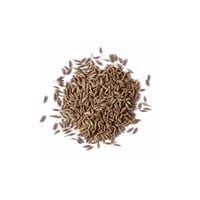 بذور بقدونس عملاق إيطالي