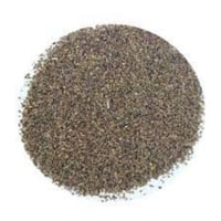 بذور الاقحوان دوارف