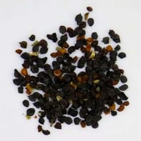 بذور القرنفل العطري متنوع